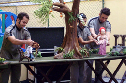 A peça O Futuro no meu Jardim leva consciência ambiental às escolas do BE da Grande Tijuca