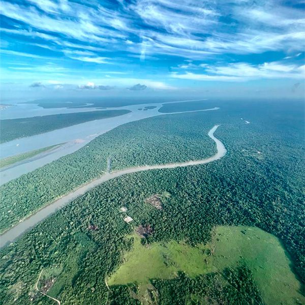 Seguimos pela Amazônia