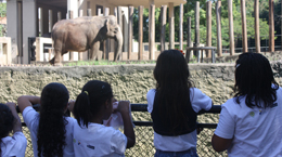 Projeto PAIS aumenta o desenvolvimento e a vivência das crianças de Santa Cruz em passeio ao Jardim Zoológico