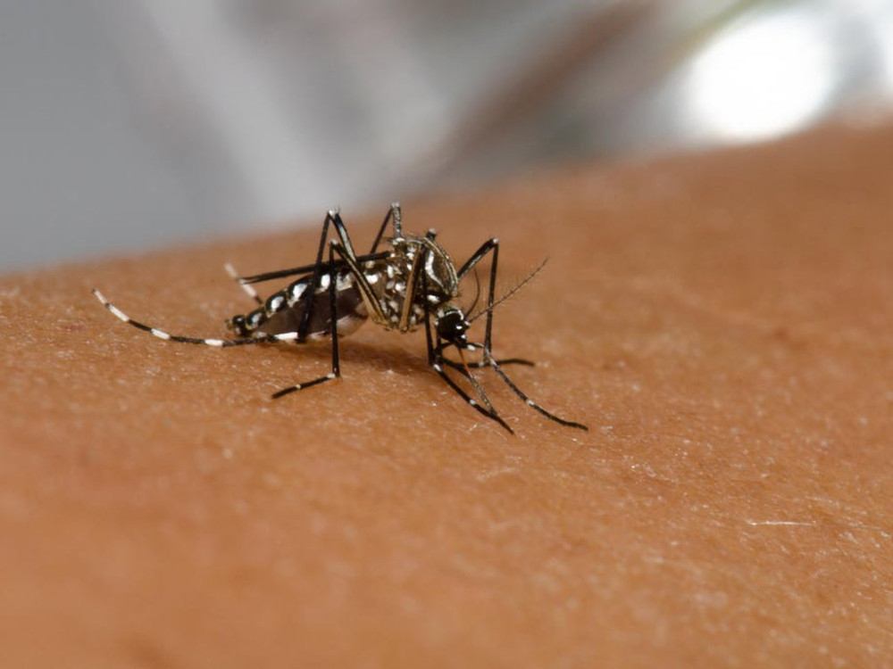 Secretaria Municipal de Saúde, em parceria com o CIEDS, inaugura mais dois polos de combate à dengue