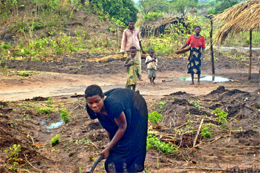 Notícias de Moçambique